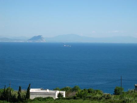 omarito-0101@hotmail.com